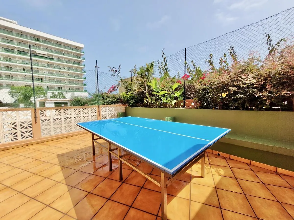 Vista Teidemar Apartment Puerto de la Cruz